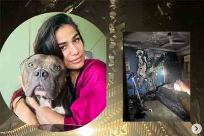 Poonam Pandey : हॉट अभिनेत्री-मॉडेल पूनम पांडेच्या घराला लागली आग; जीवितहानी टळली