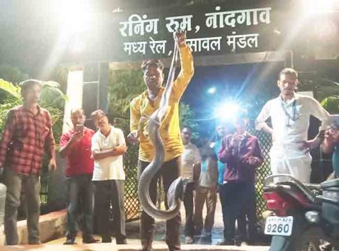 रेल्वेच्या रनिंग रूममध्ये आढळला पाच फुटाचा कोब्रा