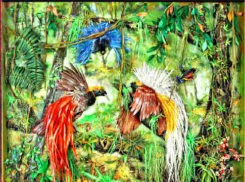 Bird of paradise : पृथ्वीवरील स्वर्गीय पक्षी