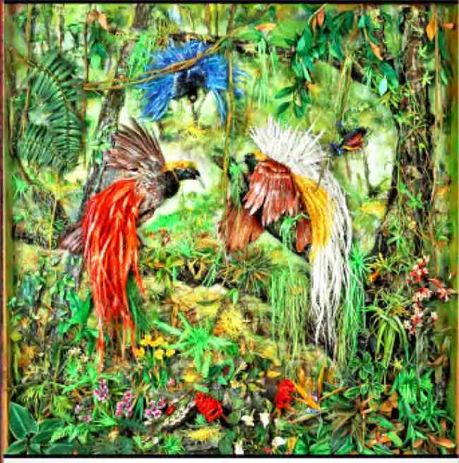 Bird of paradise : पृथ्वीवरील स्वर्गीय पक्षी