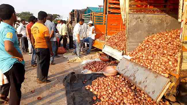 Onion