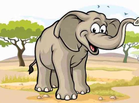 Elephant : हत्ती