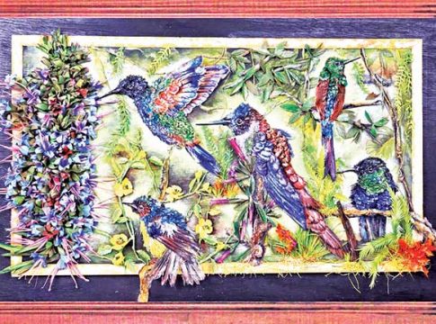 Hummingbirds : अंतहीन ऊर्जात्मक गुंजन पक्षी...