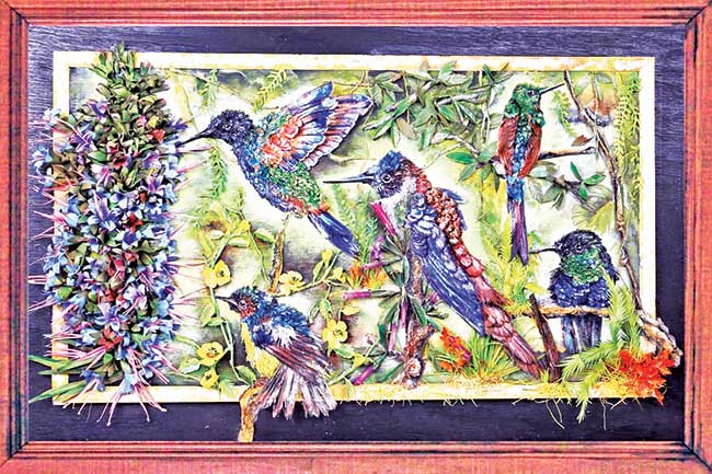 Hummingbirds : अंतहीन ऊर्जात्मक गुंजन पक्षी…