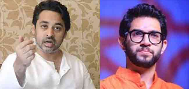 Nilesh Rane : …तर पूरा पिक्चर दाखवला असता; भाजपा नेते निलेश राणे गरजले