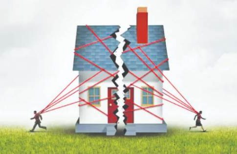 भावांच्या हिश्श्यामध्ये बहिणीची दादागिरी