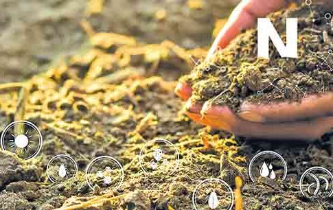 Nytrogen : नत्रवायू