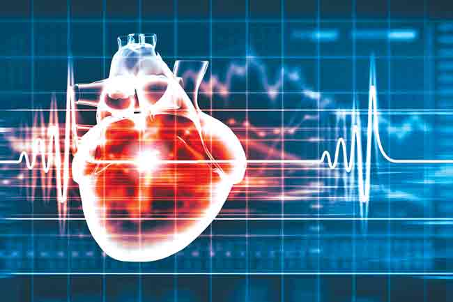 Heart beat : हृदयातली टकटक