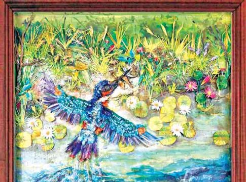 Kingfisher : सर्वश्रेष्ठ गोताखोर खंड्या