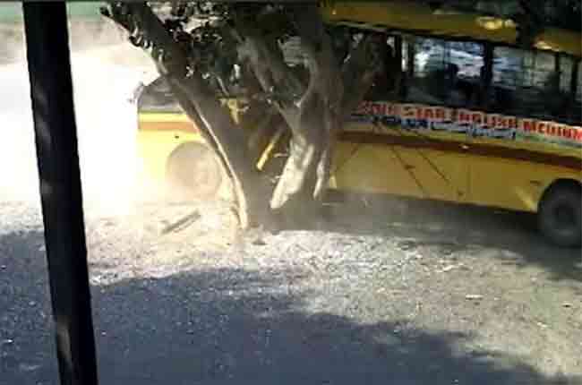 Pune School bus Accident : झाडावर आदळली स्कूलबस; पुण्यातील धक्कादायक अपघात!