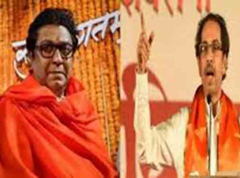 राज ठाकरे VVIP तर उद्धव ठाकरे हे आयत्या बिळातले नागोबा!