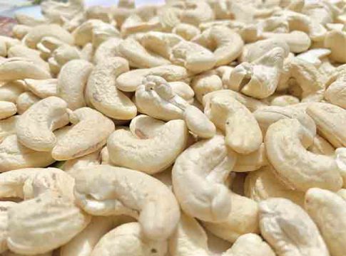 कोकणातील हमीभाव नसलेला काजू...!