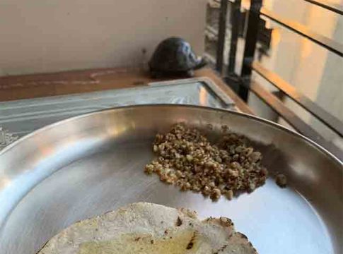 Health:थंडीत दररोज खा ज्वारी...मिळतील भरपूर फायदे