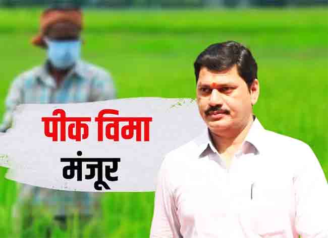 Dhananjay Munde : राज्यात आतापर्यंत ऐतिहासिक २२०६ कोटी अग्रीम पीकविमा मंजूर, १७०० कोटींचे वाटप तर उर्वरित ५०० कोटींचे वाटप सुरू – धनंजय मुंडे