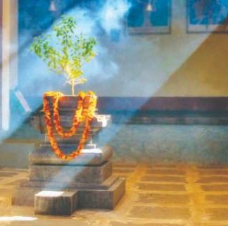 मी तुळस तुझ्या अंगणाची...!