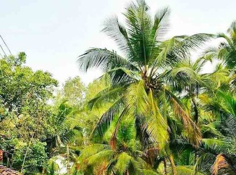 Konkan tourism : कोस्टल मॅरेथॉनसारखाच कोकण पर्यटन