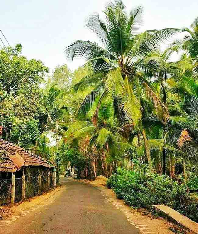 konkan