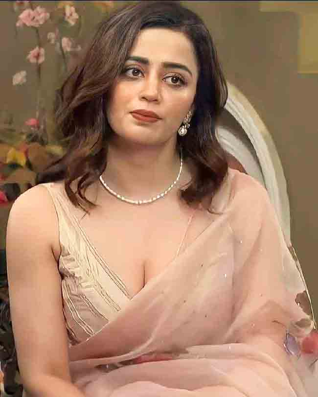 Neha Pendse : नेहा पेंडसेचे पाच मंत्रमुग्ध करणारे साडी लूक