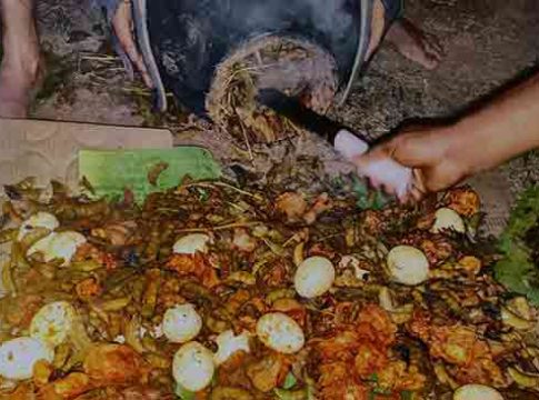 रायगडची पोपटी आता ठाण्यात मिळणार !