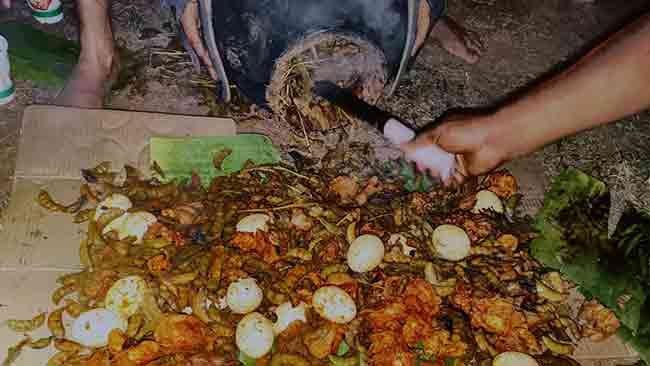 रायगडची पोपटी आता ठाण्यात मिळणार !