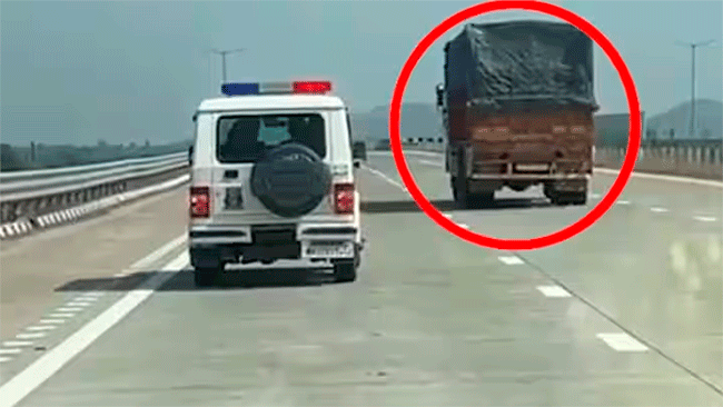 Cow Smuggling : समृद्धी महामार्गावरुन गो तस्करी; ट्रकमध्ये कोंबलेल्या अवस्थेत आढळल्या ५० गायी