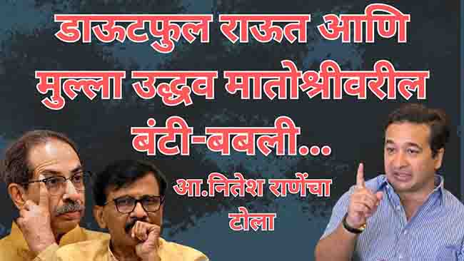 Nitesh Rane : उद्धव ठाकरेंनी राम मंदिर आंदोलनातील सहभागाचा एक तरी पुरावा द्यावा