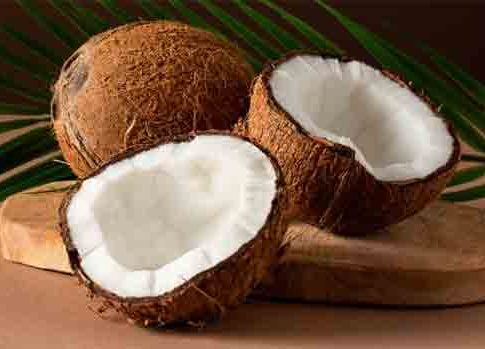 Health: ओला नारळ आहे आरोग्यासाठी वरदान, खाल्ल्याने मिळतील भरपूर फायदे