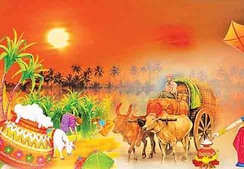 Sankrant : साजिरी संक्रांत!