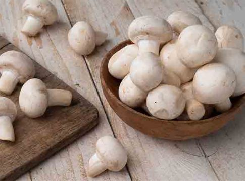 Mushrooms: मशरूमचे हे फायदे वाचून तुम्ही लगेचच खाण्यास कराल सुरूवात