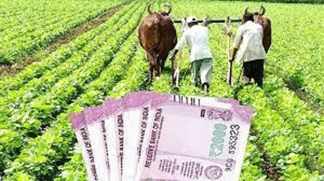 Agricultural Loan : कृषी कर्जाने केला २० लाख कोटींचा आकडा पार