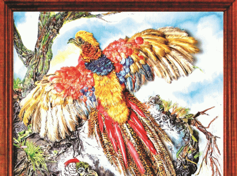 Pheasant : रेशमी इंद्रधनू तितर