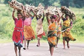 adivasi