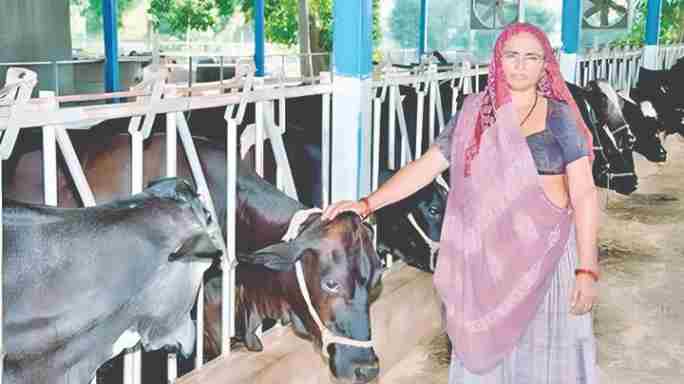दुग्धव्यवसायातील नवलाई : ‘नवलबेन’