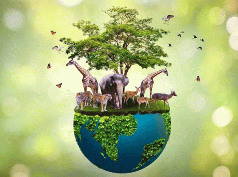 Wildlife conservation : वन्यजीवांचे रक्षण काय साधते...?