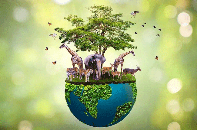 Wildlife conservation : वन्यजीवांचे रक्षण काय साधते…?