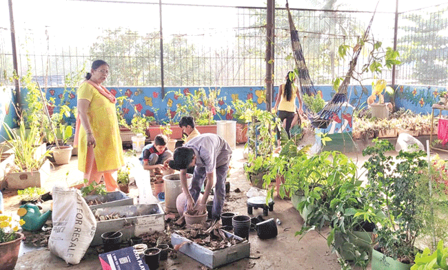Sprout : अंकुर…
