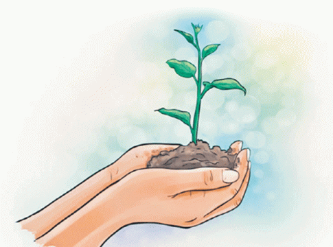 राज्यात यंदा दहा कोटी वृक्ष लागवड करणार - मुख्यमंत्री