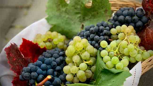 Grapes: एका दिवसांत किती द्राक्षे खावीत? कधी आणि कशी खावीत घ्या जाणून