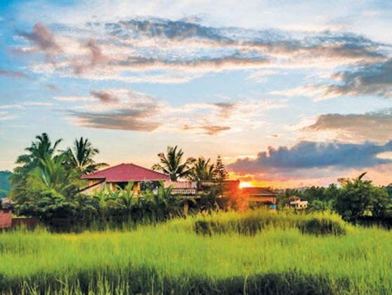 काव्यरंग