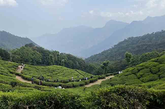 Travel Destination: एप्रिलमध्ये फिरण्यासाठी हे हिल स्टेशन आहेत बेस्ट