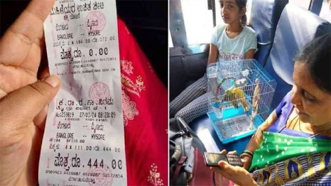 पोपटांचे बस तिकीट चक्क ४४४ रुपये! पोपटांसोबतचा बसप्रवास आजीला पडला महाग
