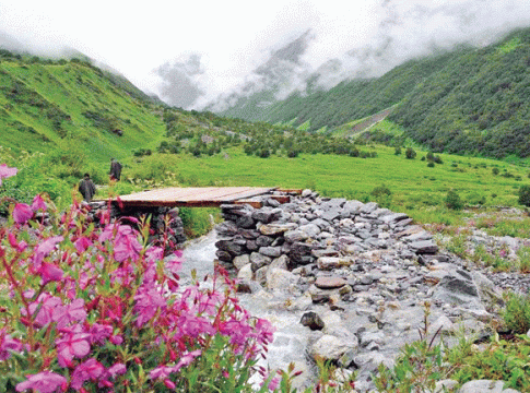 Poems : काव्यरंग