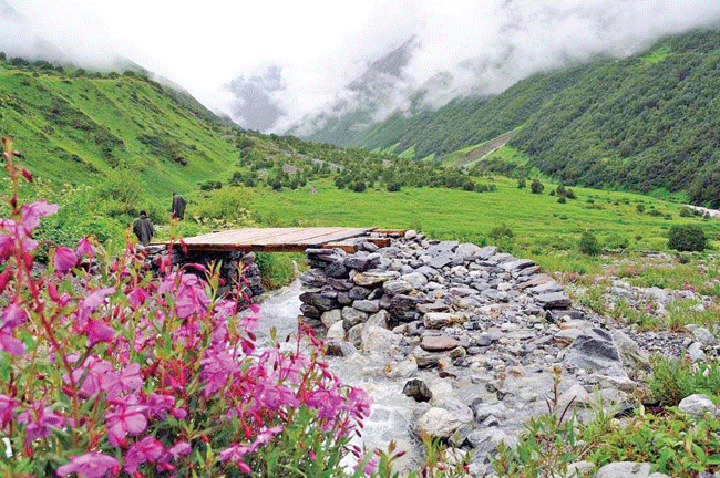 Poems : काव्यरंग
