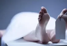 दिवाळीचा आकाश कंदील बांधण्यासाठी झाडावर चढलेल्या तरुणाचा झाडावरून खाली कोसळून दुर्दैवी मृत्यू