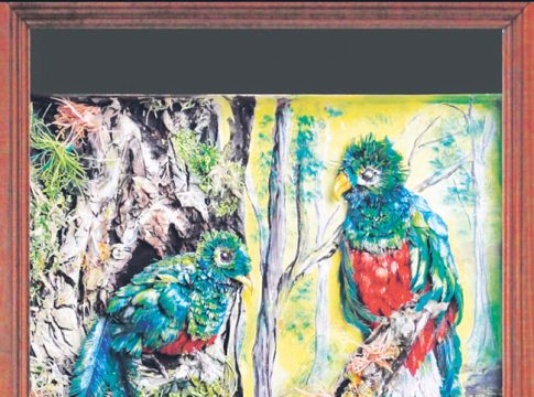 देदीप्यमान क्वेत्झल