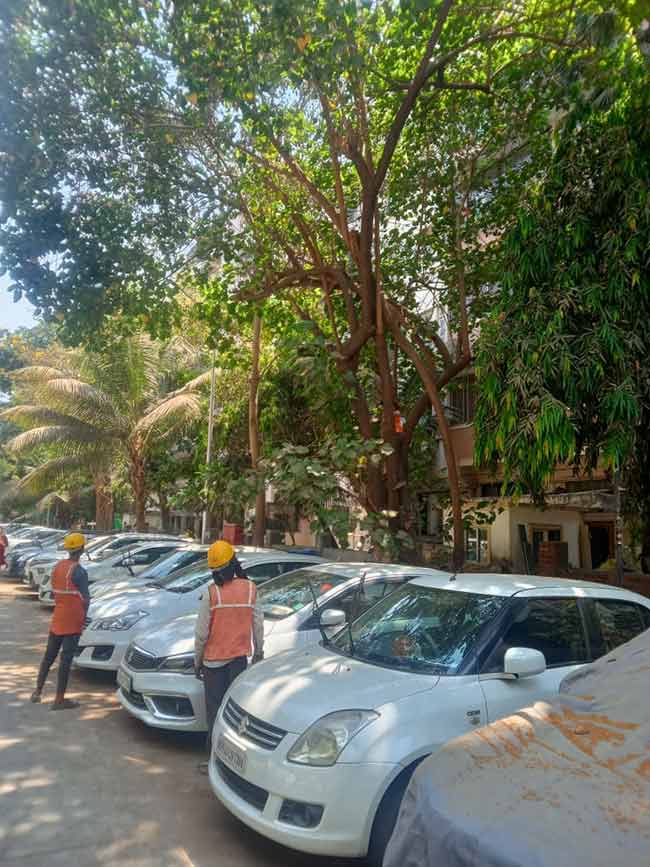 झाडांच्या फांद्या छाटणी कामांमध्ये वाहनांचा अडथळा!