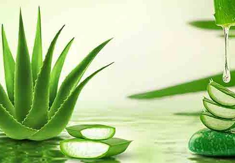 Skin Care Tips: आंघोळीनंतर लगेचच चेहऱ्यावर लावा ही गोष्ट, मॉश्चरायजरची गरज नाही
