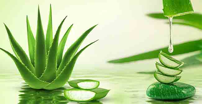 Summer Skin Care: त्वचेला हायड्रेट ठेवण्यासाठी उन्हाळ्यात प्या हे ज्यूस, त्वचा होईल तुकतुकीत