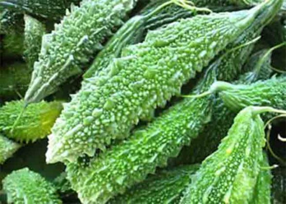 Karela Benefits: हे फायदे ऐकल्यावर आजच कारले खाण्यास कराल सुरूवात