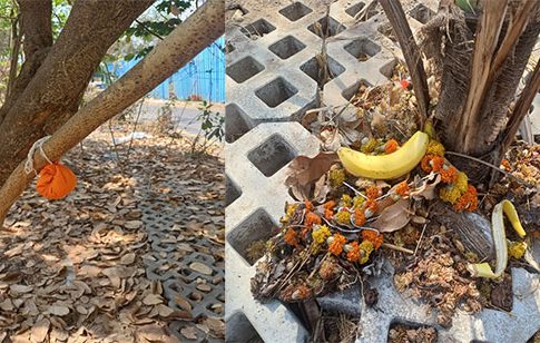 भयंकर! ठाणे पूर्व येथील झाडांवर जादूटोणा